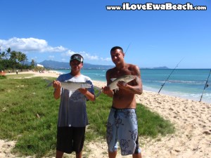 Oio Ewa Beach