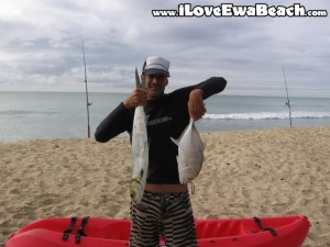Aawa And Papio Ewa Beach